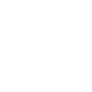 T3 Finish Carpentry Logo